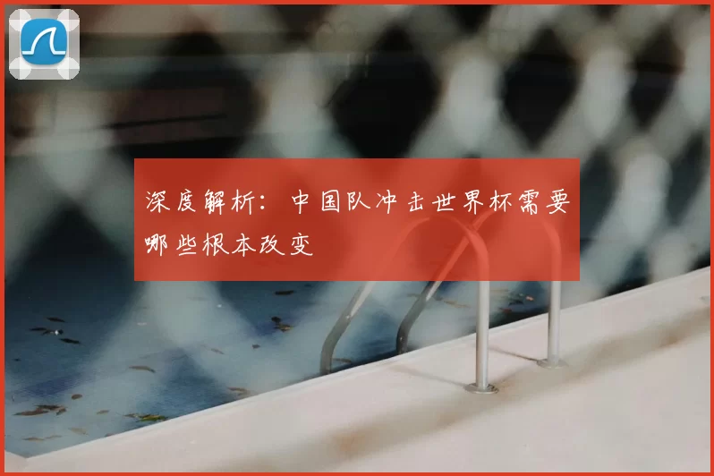 深度解析:中国队冲击世界杯需要哪些根本改变