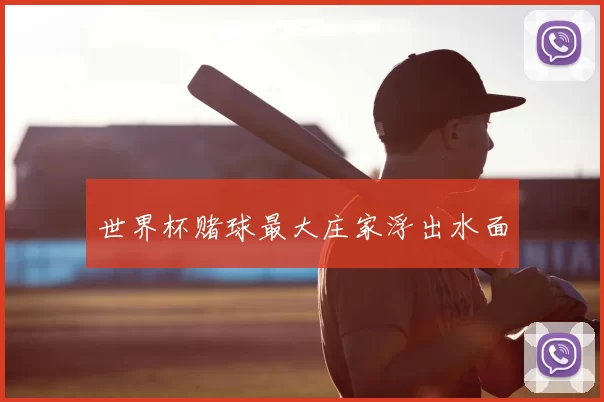 世界杯赌球最大庄家浮出水面
