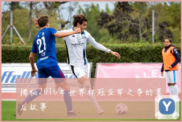 揭秘2016年世界杯冠亚军之争的幕后故事
