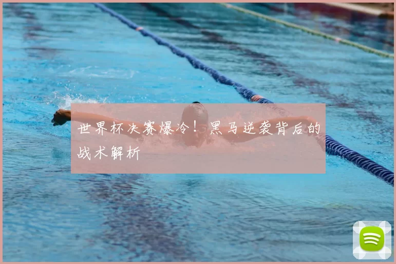 世界杯决赛爆冷!黑马逆袭背后的战术解析
