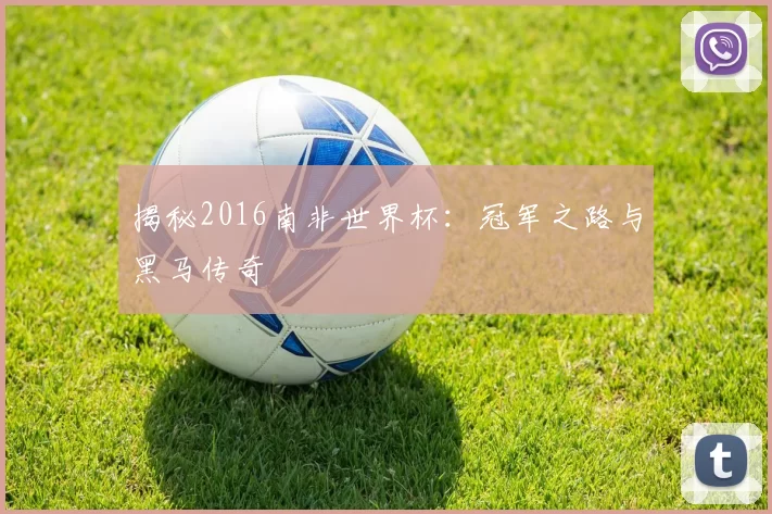 揭秘2016南非世界杯：冠军之路与黑马传奇