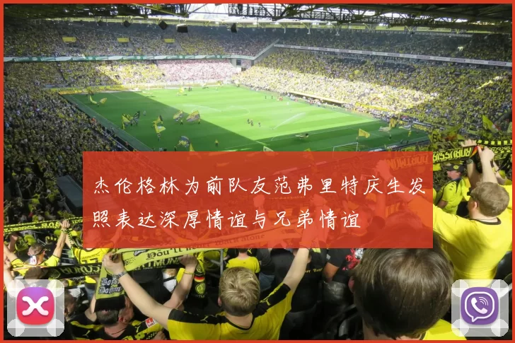 杰伦格林为前队友范弗里特庆生发照表达深厚情谊与兄弟情谊