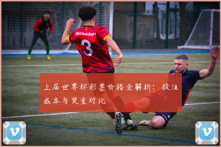 上届世界杯彩票价格全解析:投注成本与奖金对比