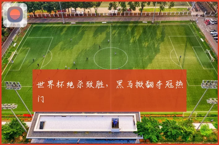 世界杯绝杀致胜,黑马掀翻夺冠热门