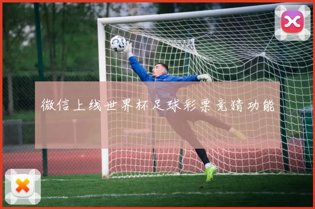 微信上线世界杯足球彩票竞猜功能