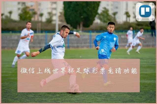 微信上线世界杯足球彩票竞猜功能