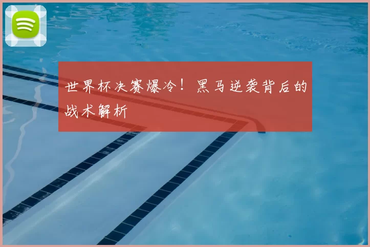 世界杯决赛爆冷!黑马逆袭背后的战术解析