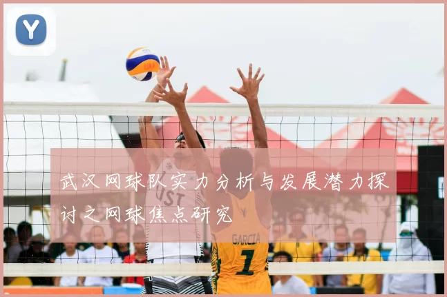 武汉网球队实力分析与发展潜力探讨之网球焦点研究